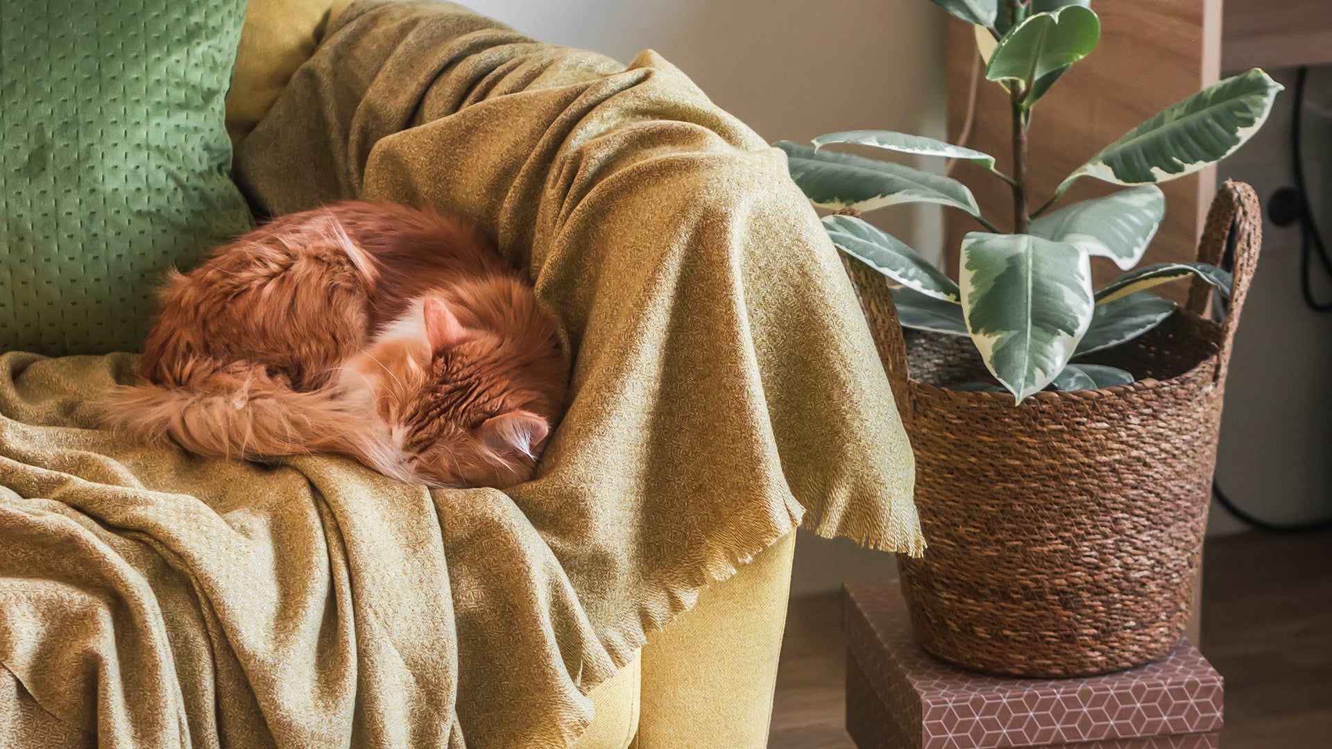 How to Create a Cozy and Inviting Home with Textiles