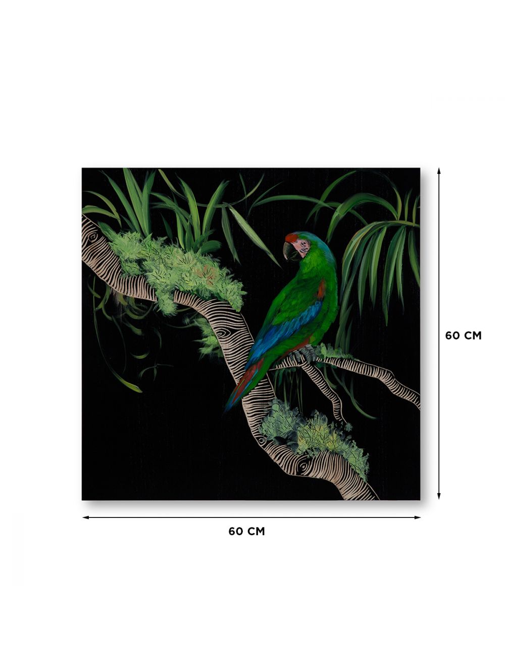 Electus Parrot I-IAAH