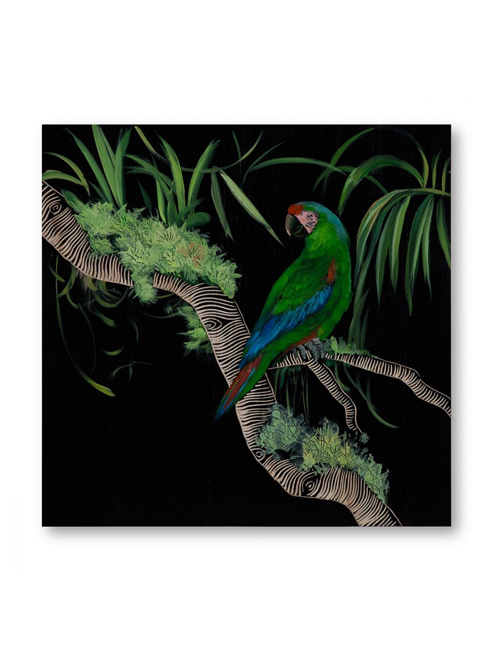 Electus Parrot I-IAAH