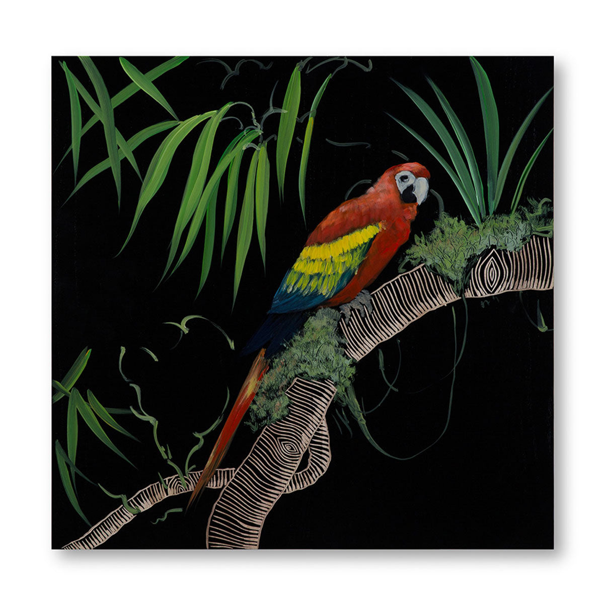 Electus Parrot II-IAAH