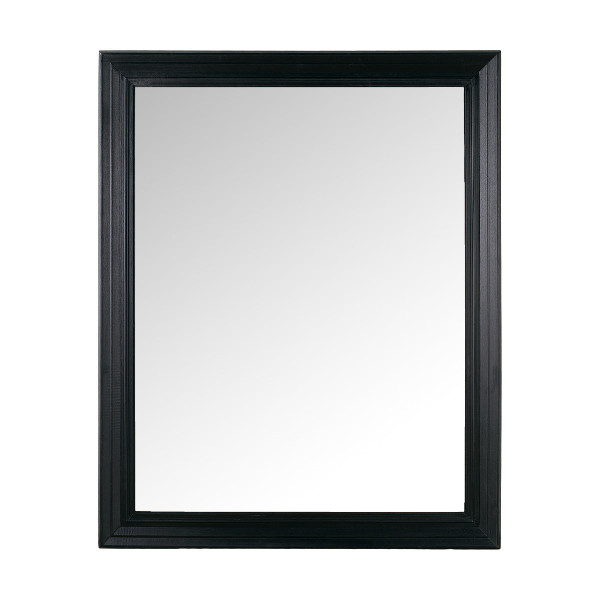 Diamis Mirror-IAAH