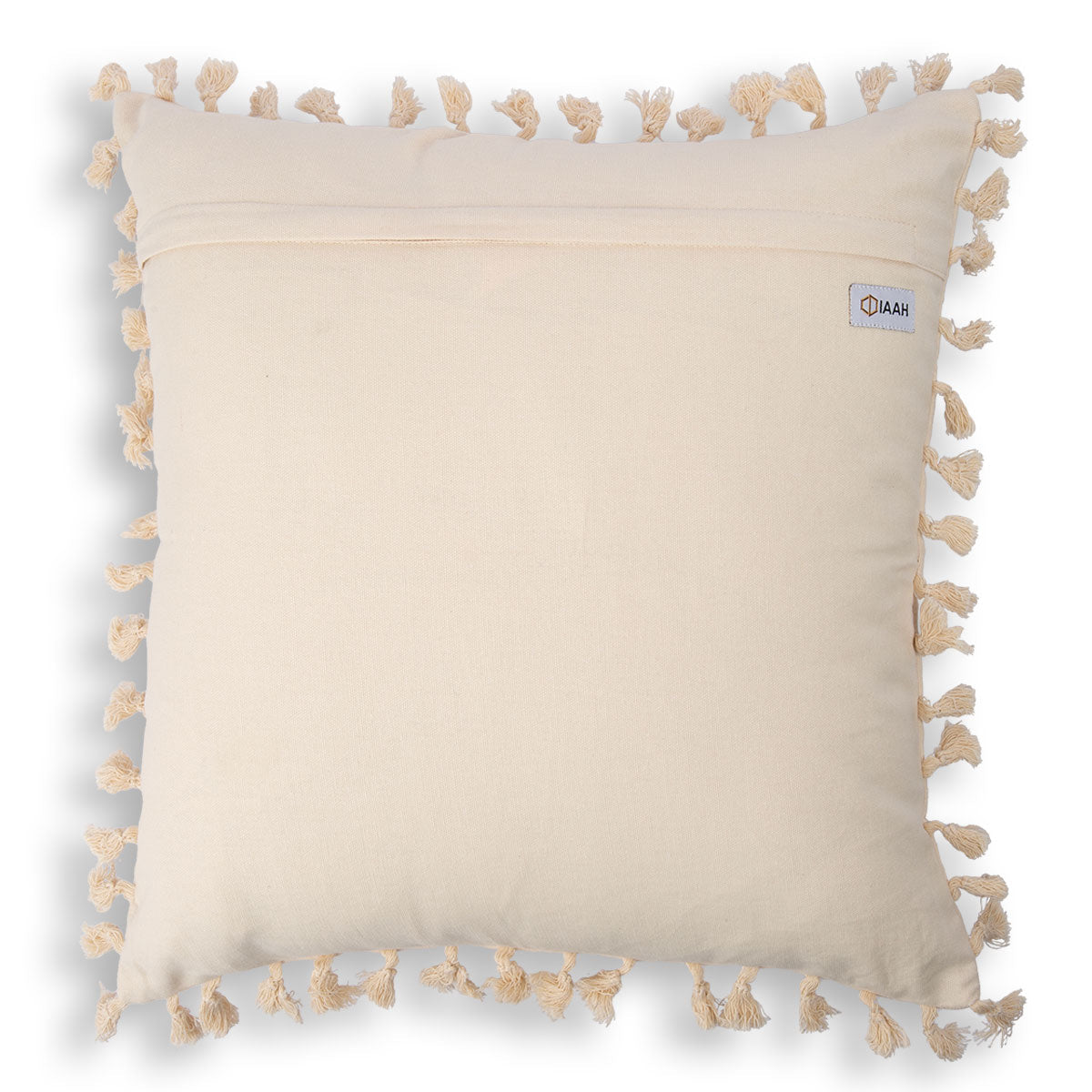 Aari Embroidered Cushion-IAAH