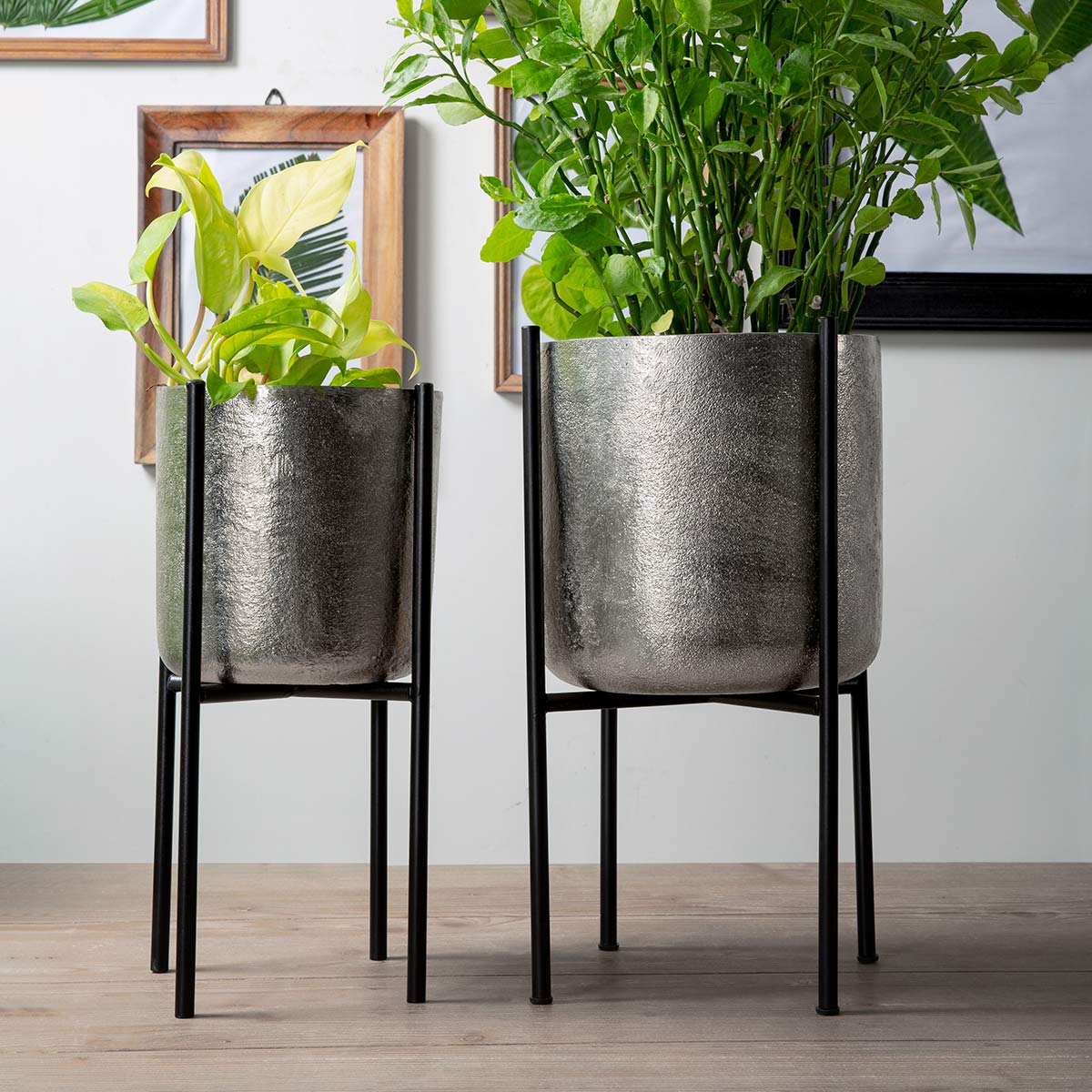 Avant Garde Planter -  - IAAH
