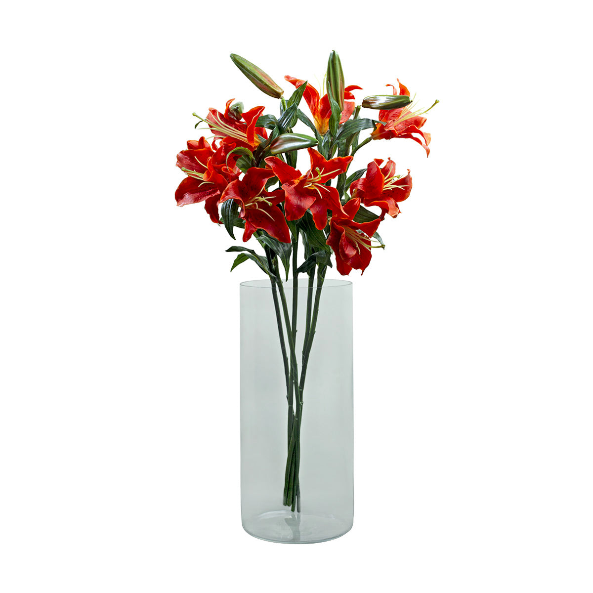 Rubrum Lily -  - IAAH