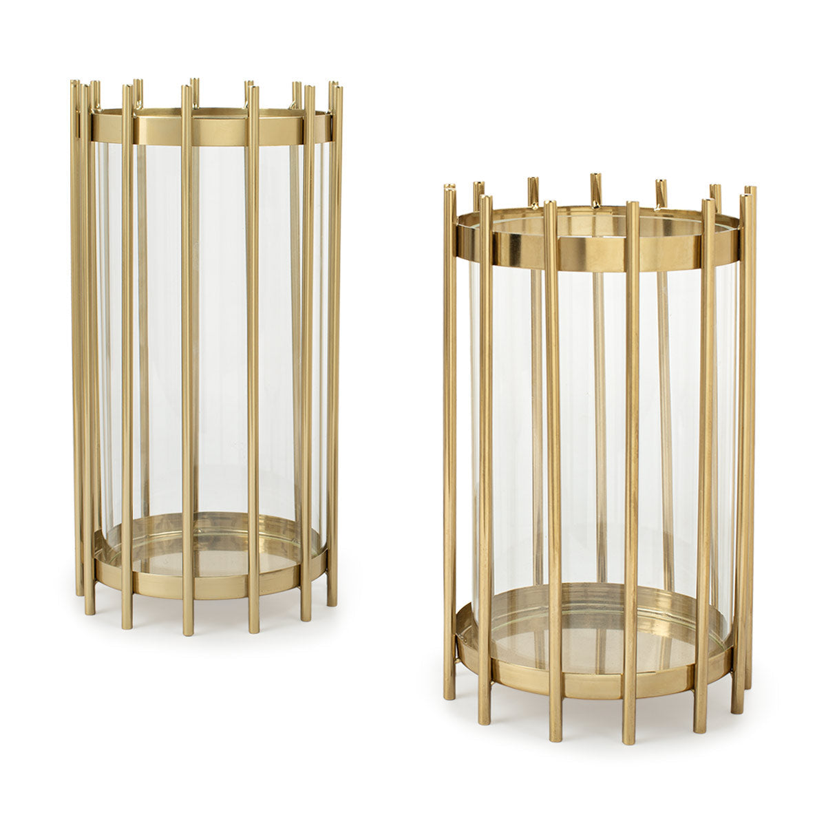 Golden Glow Hurricane-IAAH