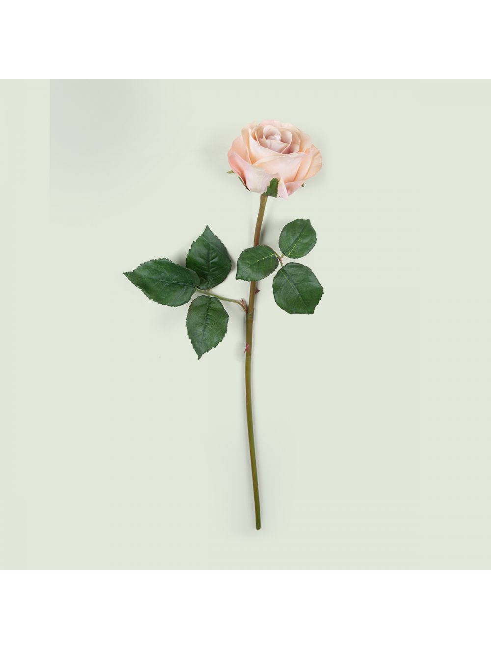 Stemmy Roses Pink Rose Stem Baby Pink Faux Romantic Botanical Floral Spray – IAAH