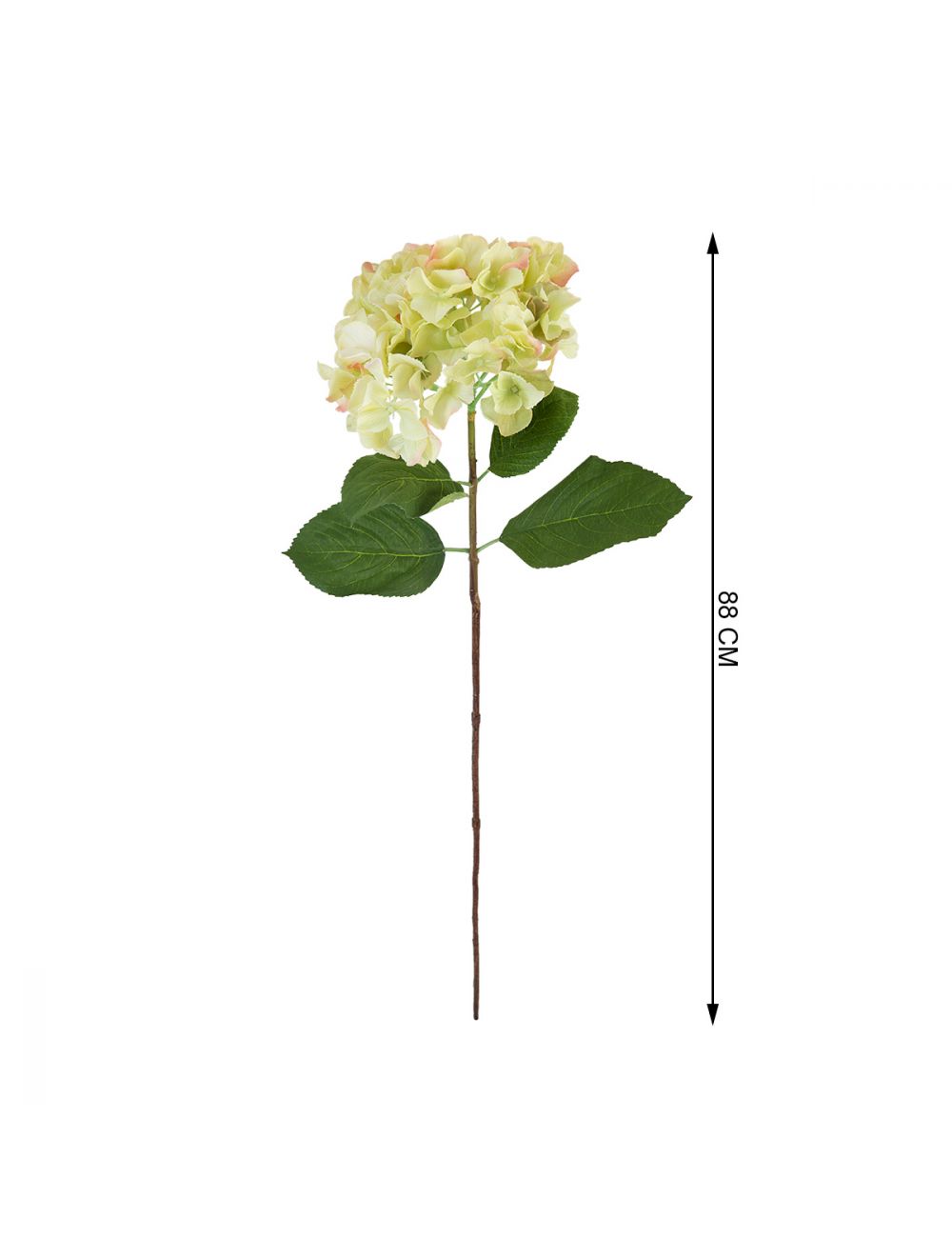 Mint Green Hydrangea Flower