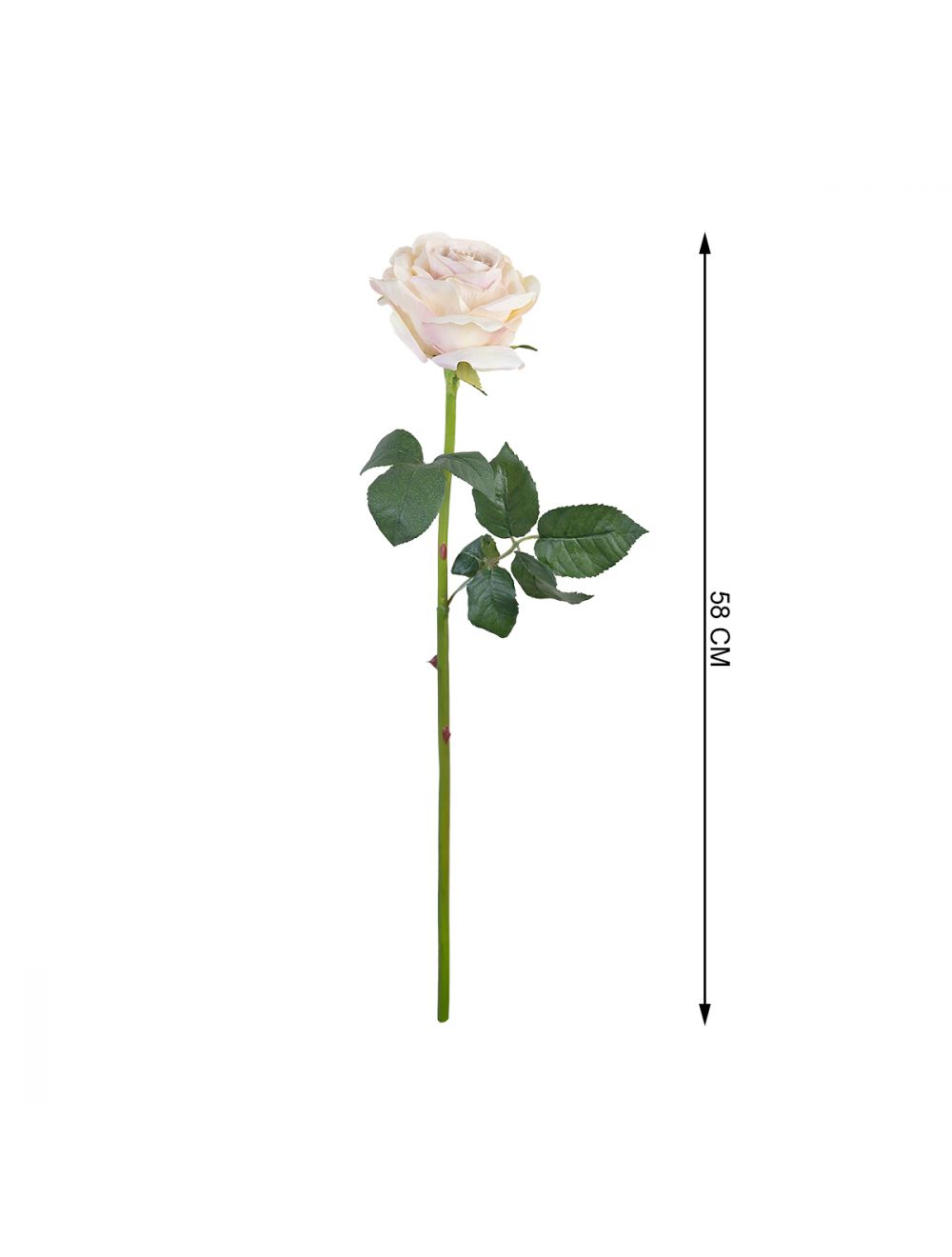 Ivory Rose Stem-IAAH