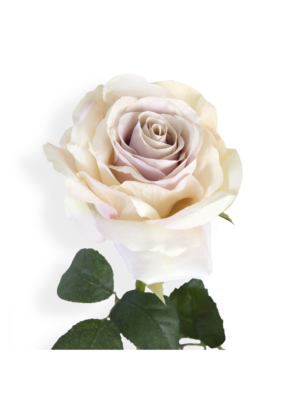 Ivory Rose Stem-IAAH