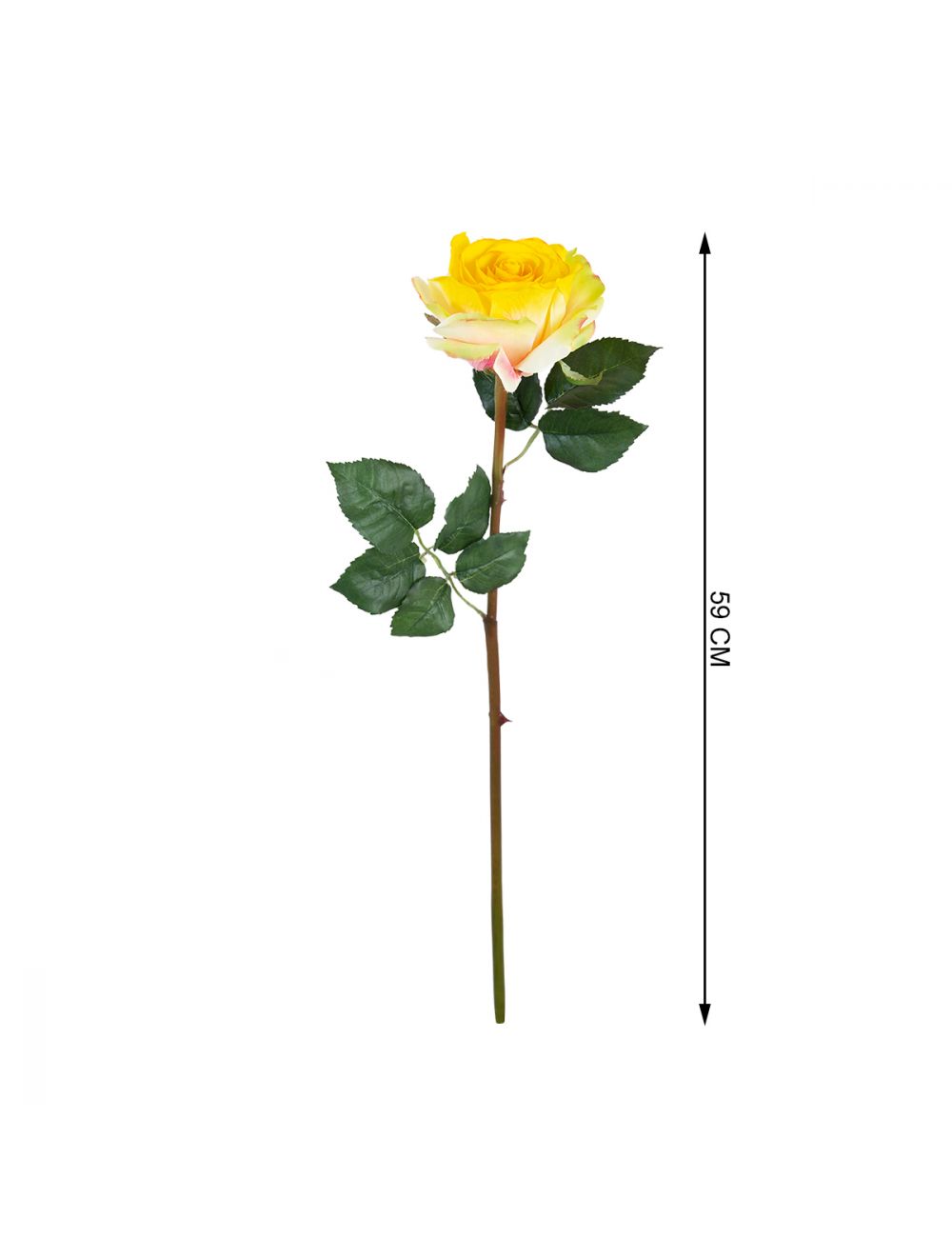 Yellow Rose Stem