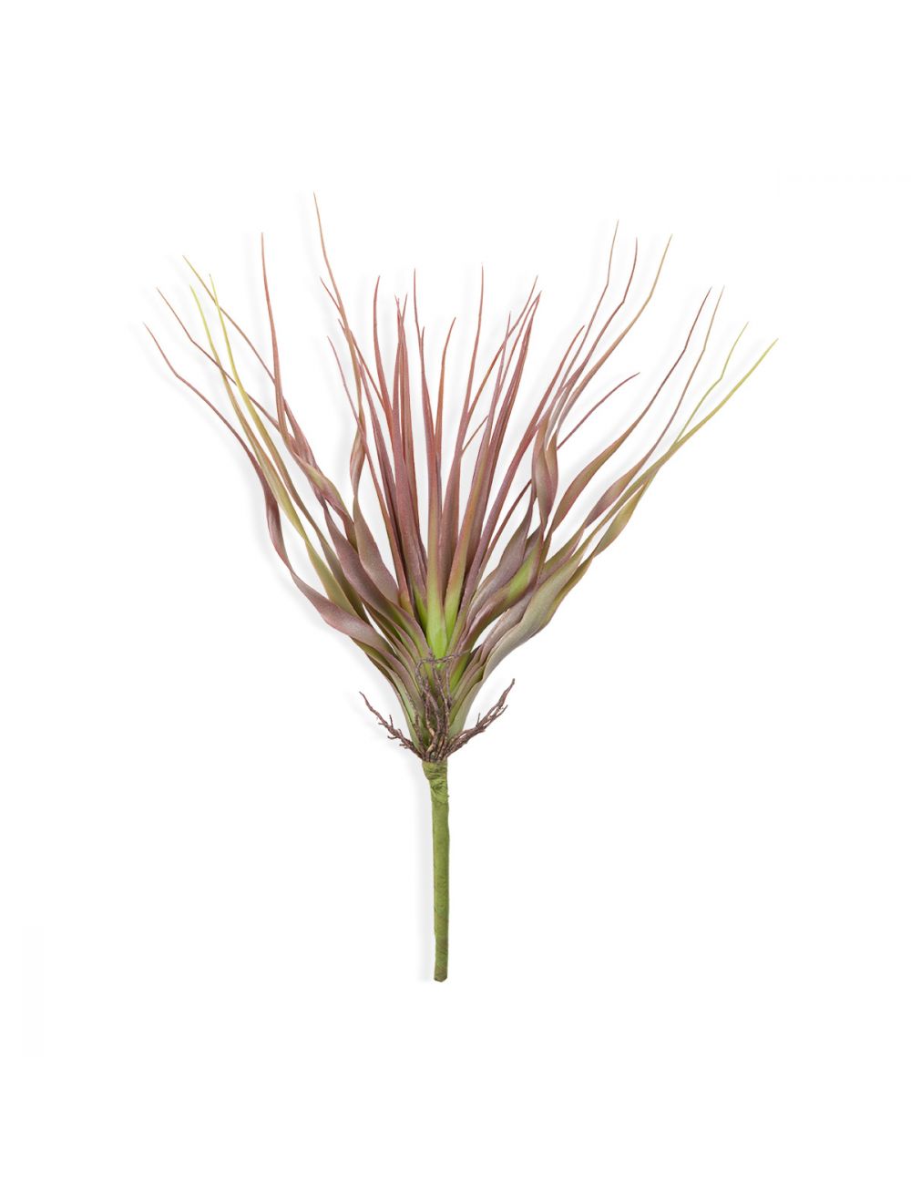 Tillandsia Flocked