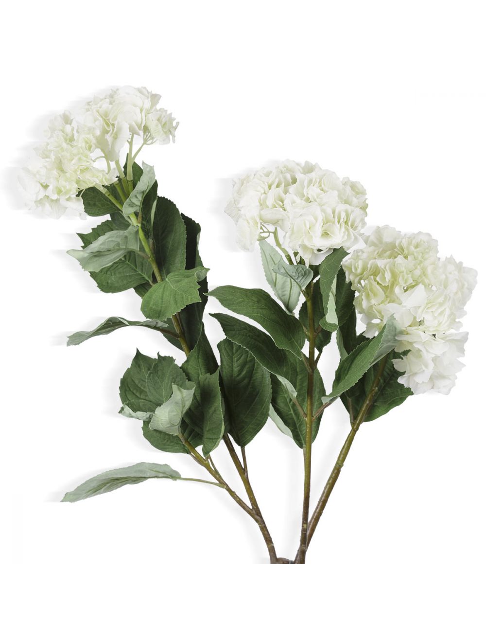 Hydrangea Branch-IAAH