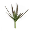 Buy Pure Aloe Vera Gel Online - 100% Natural - IAAH