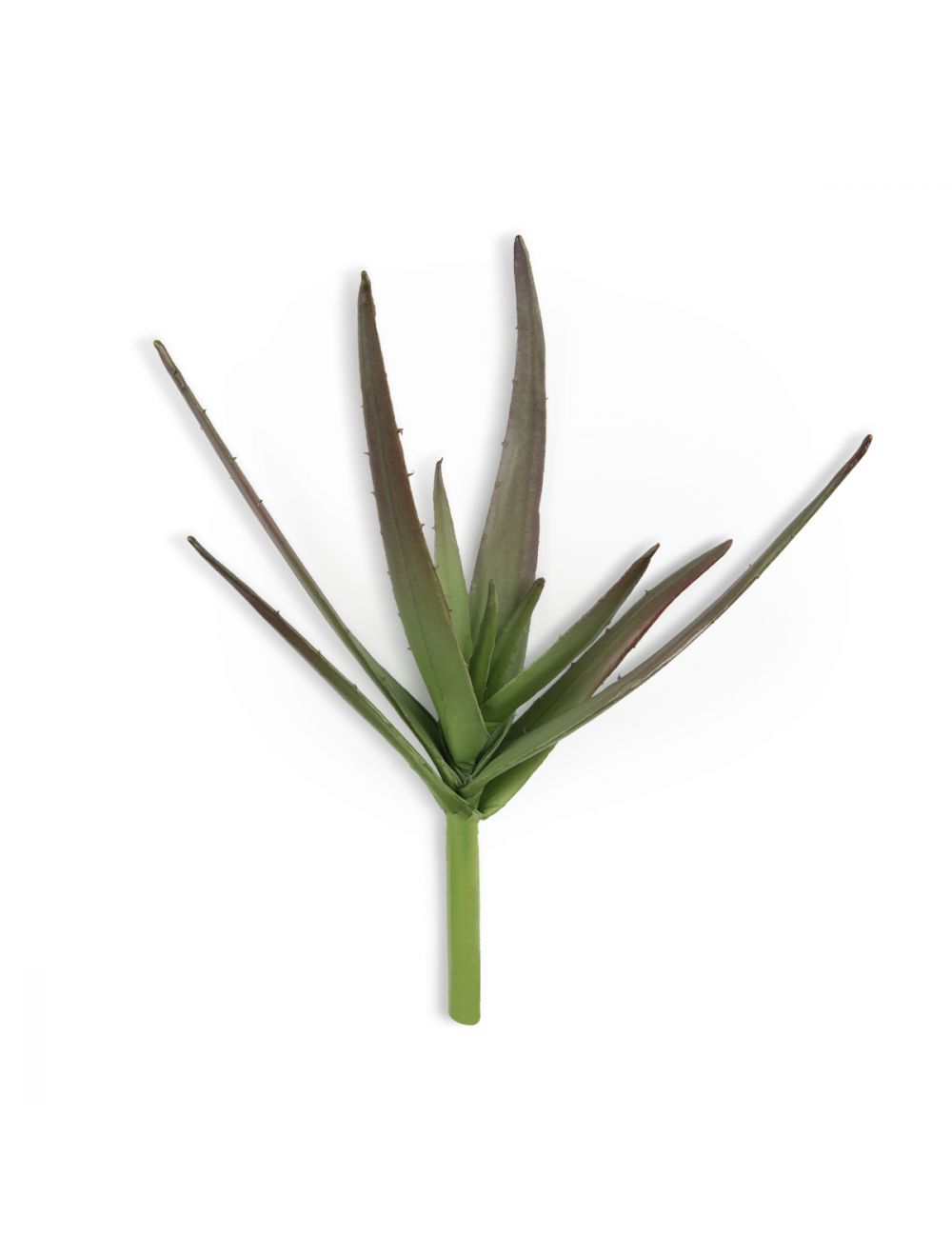 Buy Pure Aloe Vera Gel Online - 100% Natural - IAAH