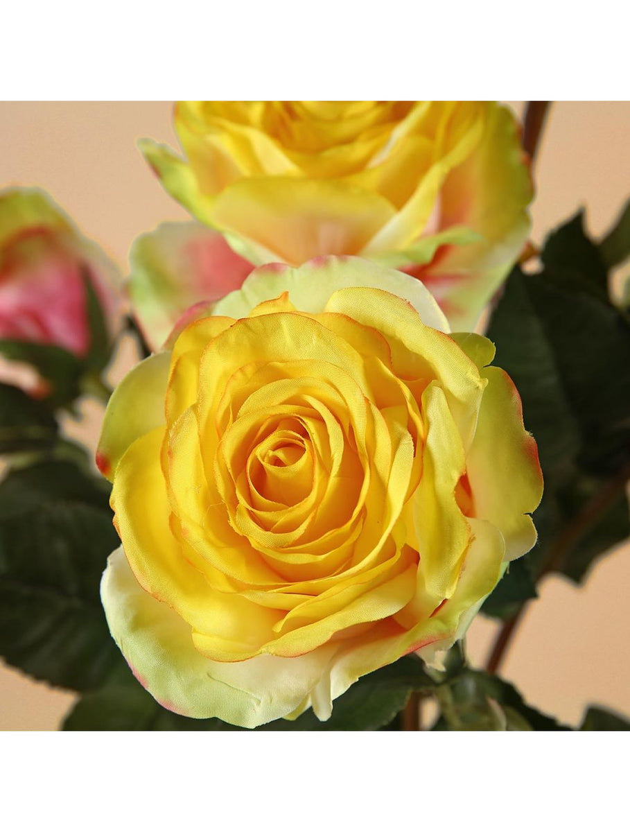 Classic Yellow Rose Stem for Romantic Home Decor - IAAH
