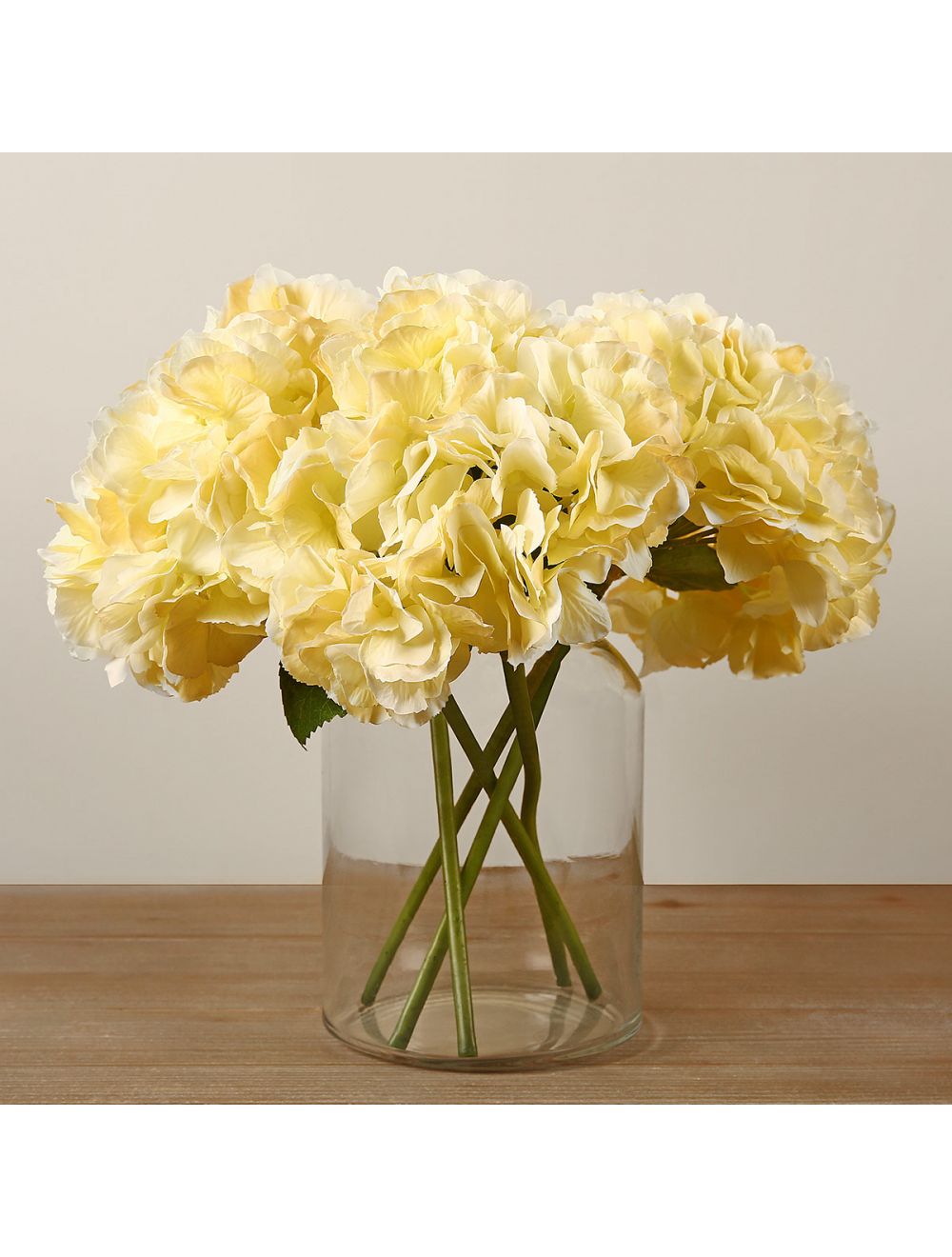Light Yellow Hydrangea
