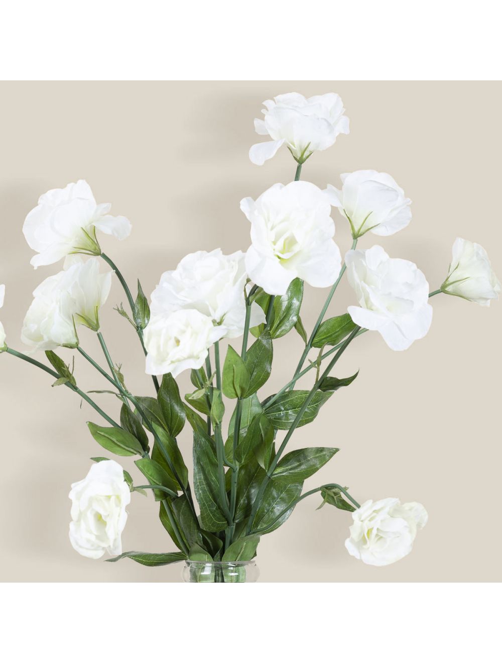 Lisianthus