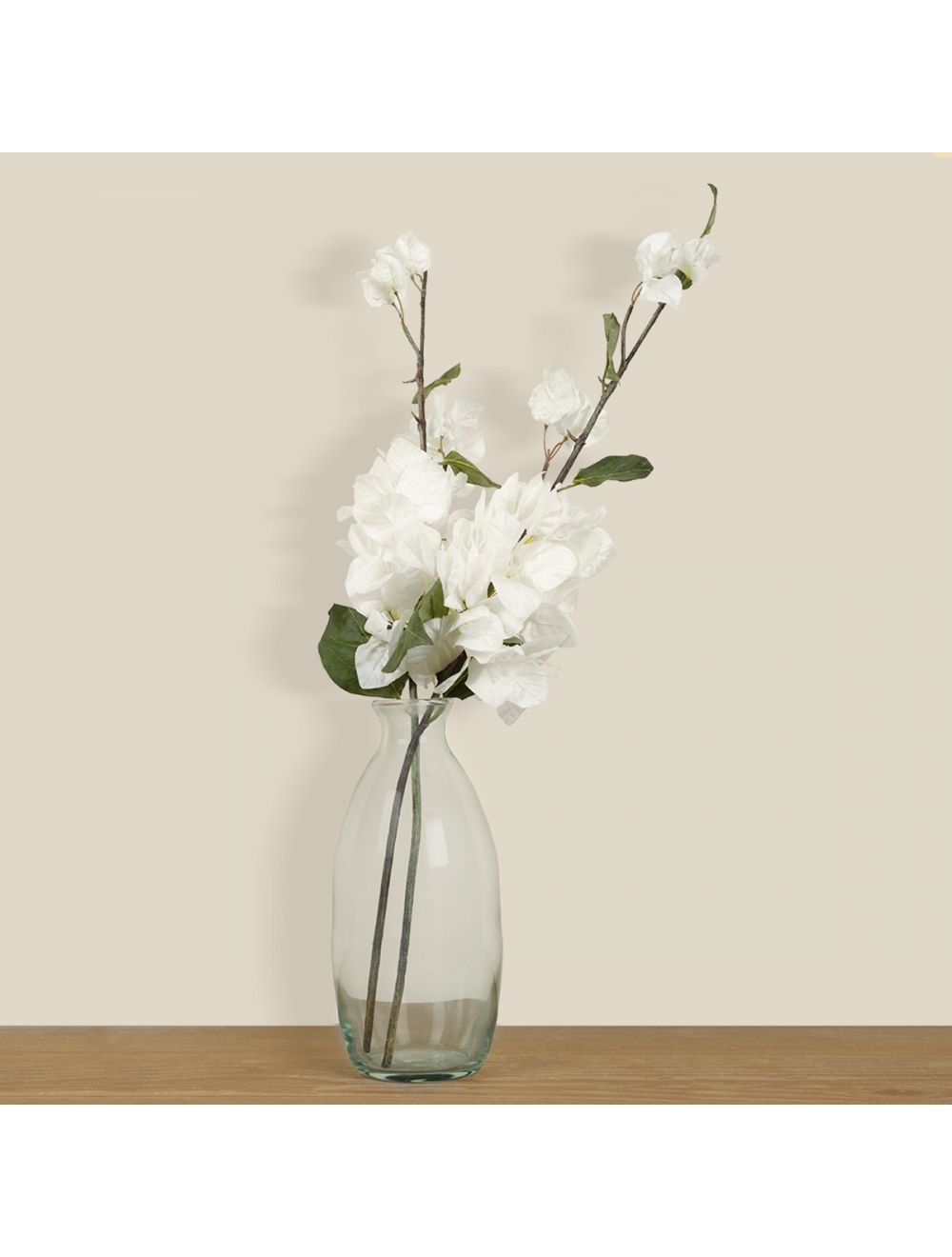 Bougainvillea Stem-IAAH