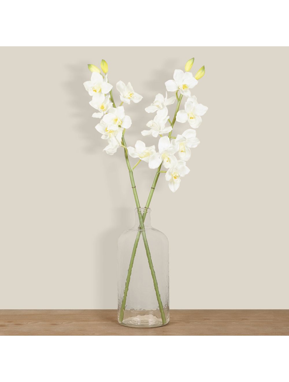 Cymbidium Orchids-IAAH