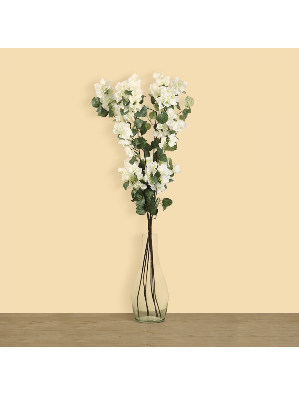 Bougainvillea Stem-IAAH