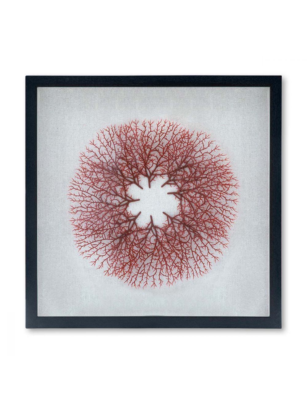 Coral Wall Art-IAAH