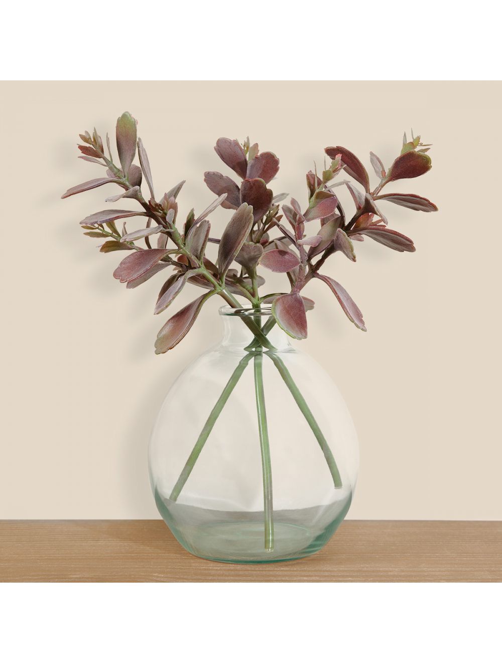 Graptoetallum Paraguayen-IAAH