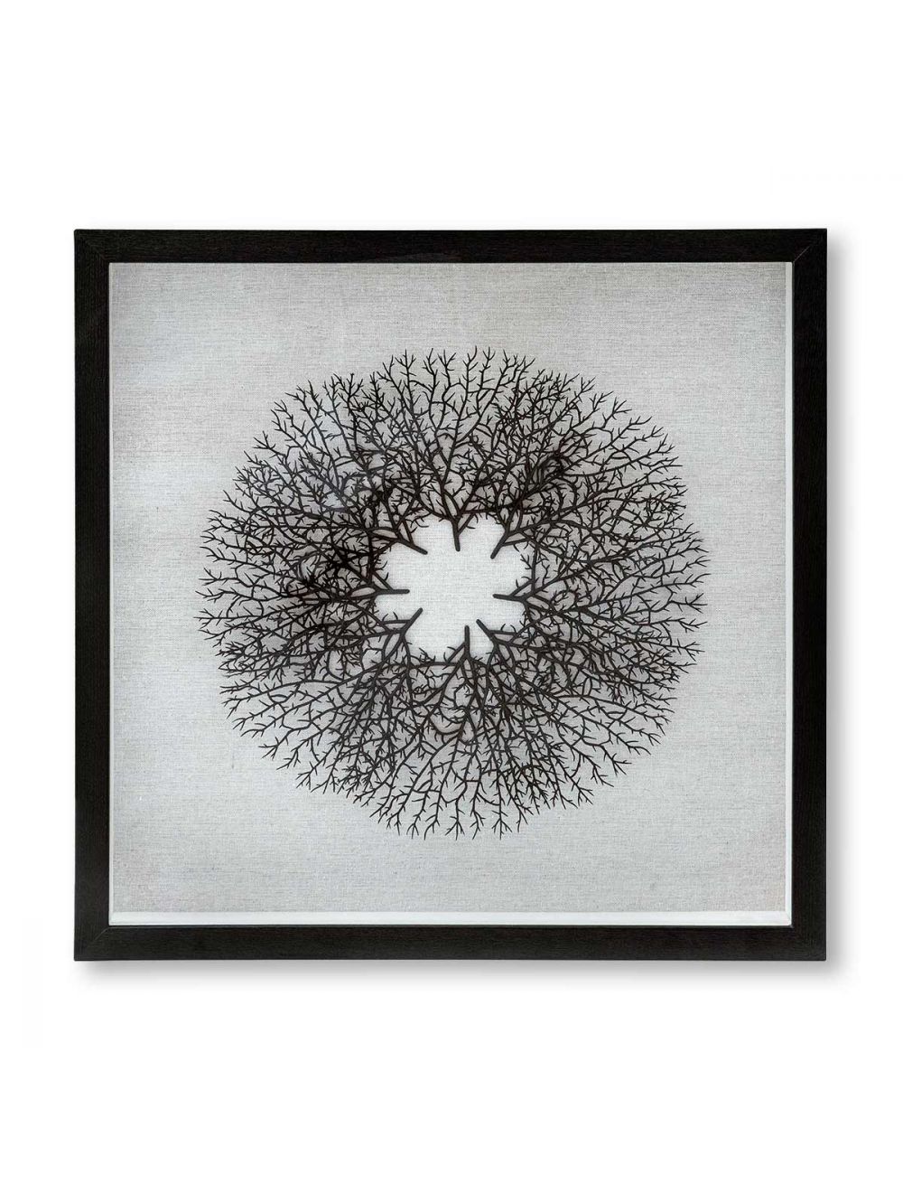 Coral Wall Art-IAAH