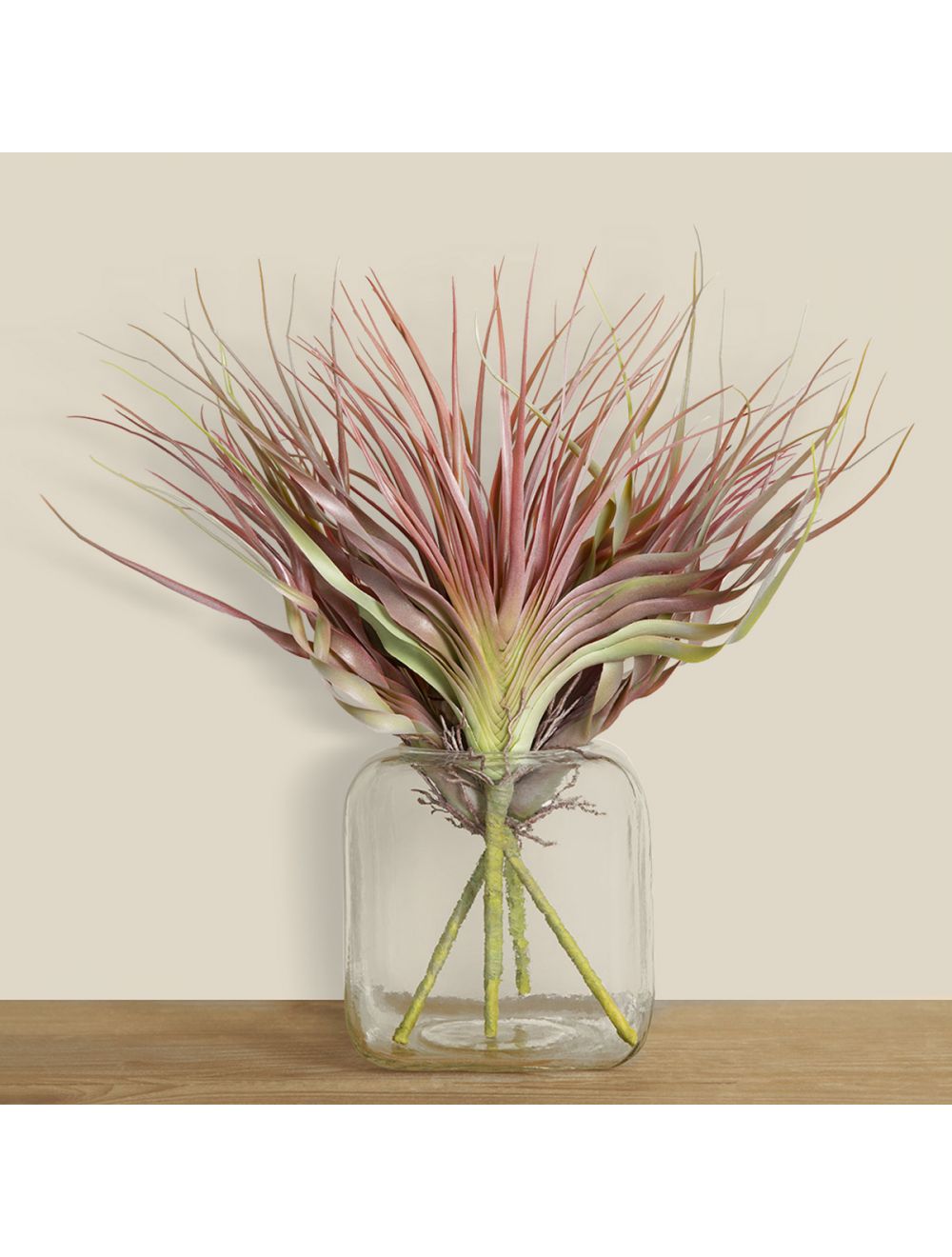 Tillandsia Flocked