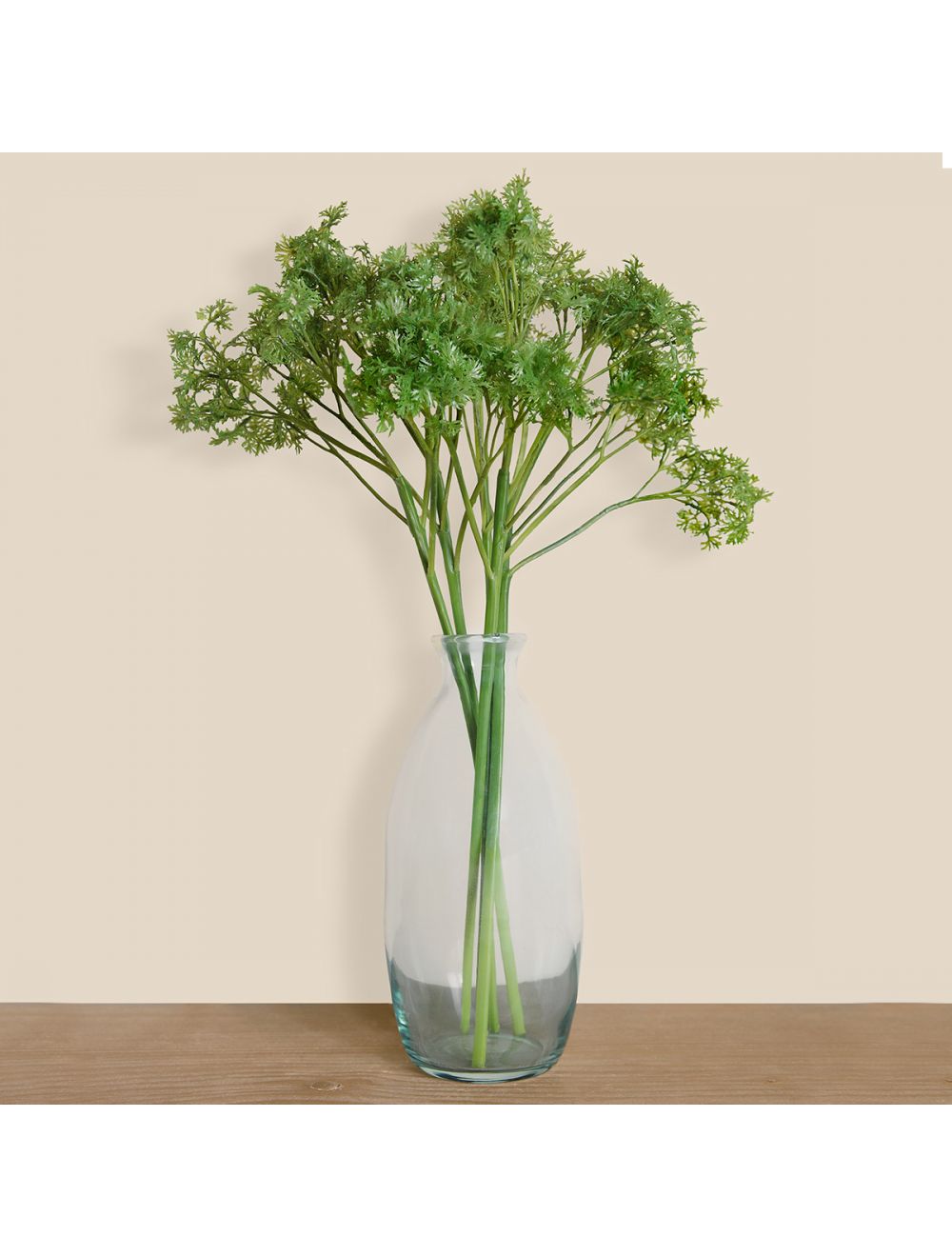 Parsley Stem