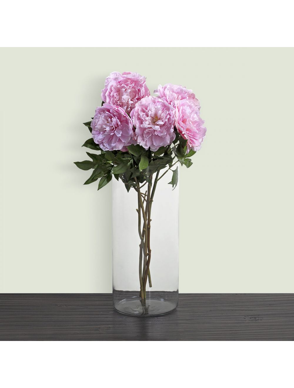 Japanese Peony Pink-IAAH