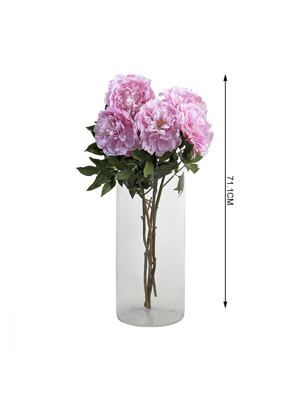 Japanese Peony Pink-IAAH