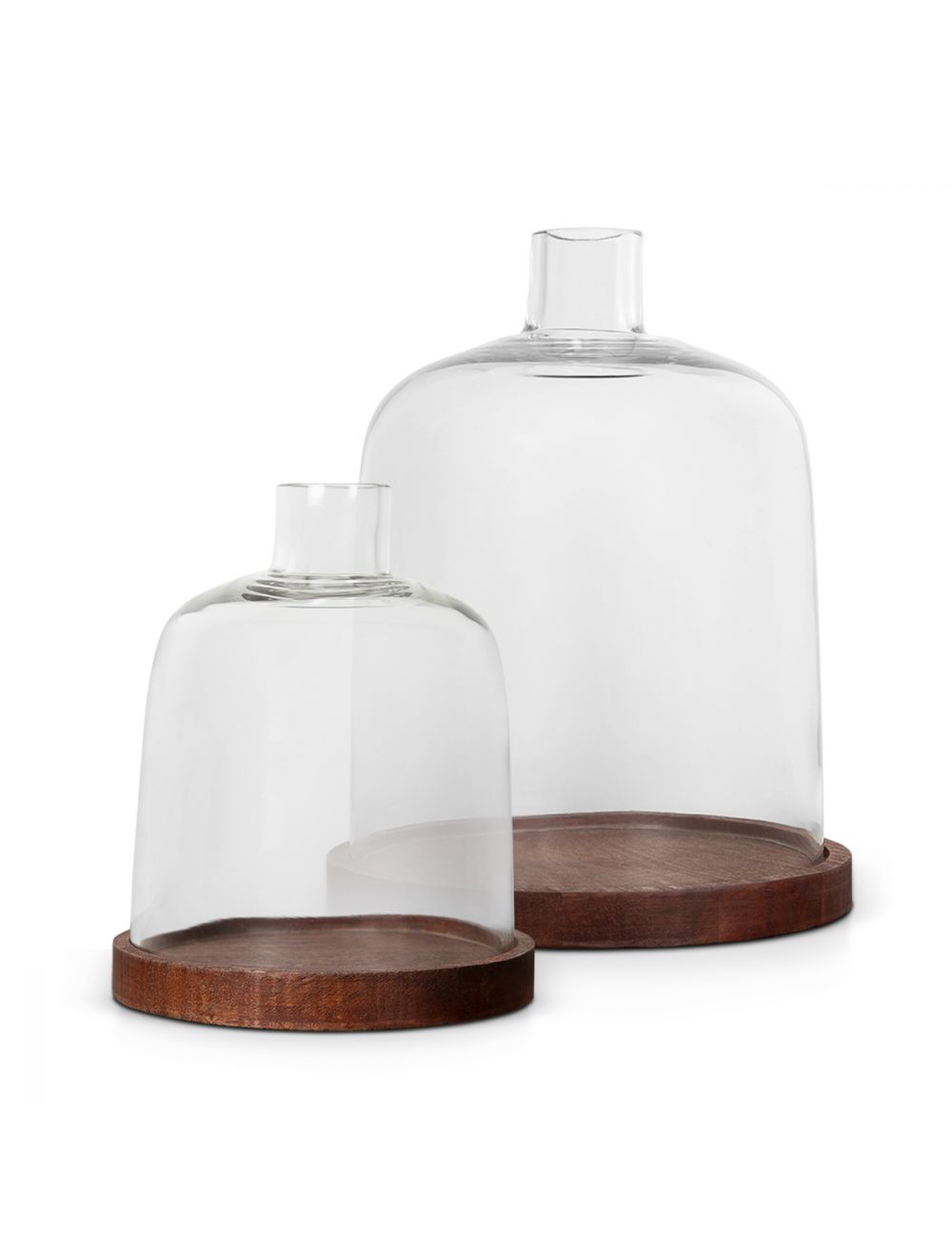 Courtyard Cloche-IAAH