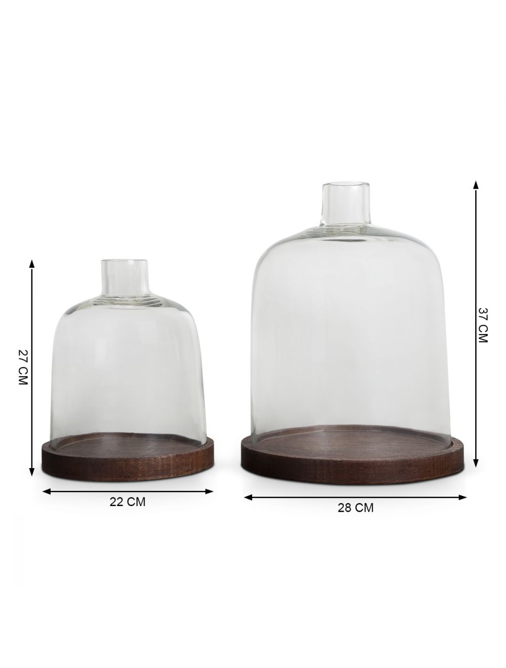 Courtyard Cloche-IAAH