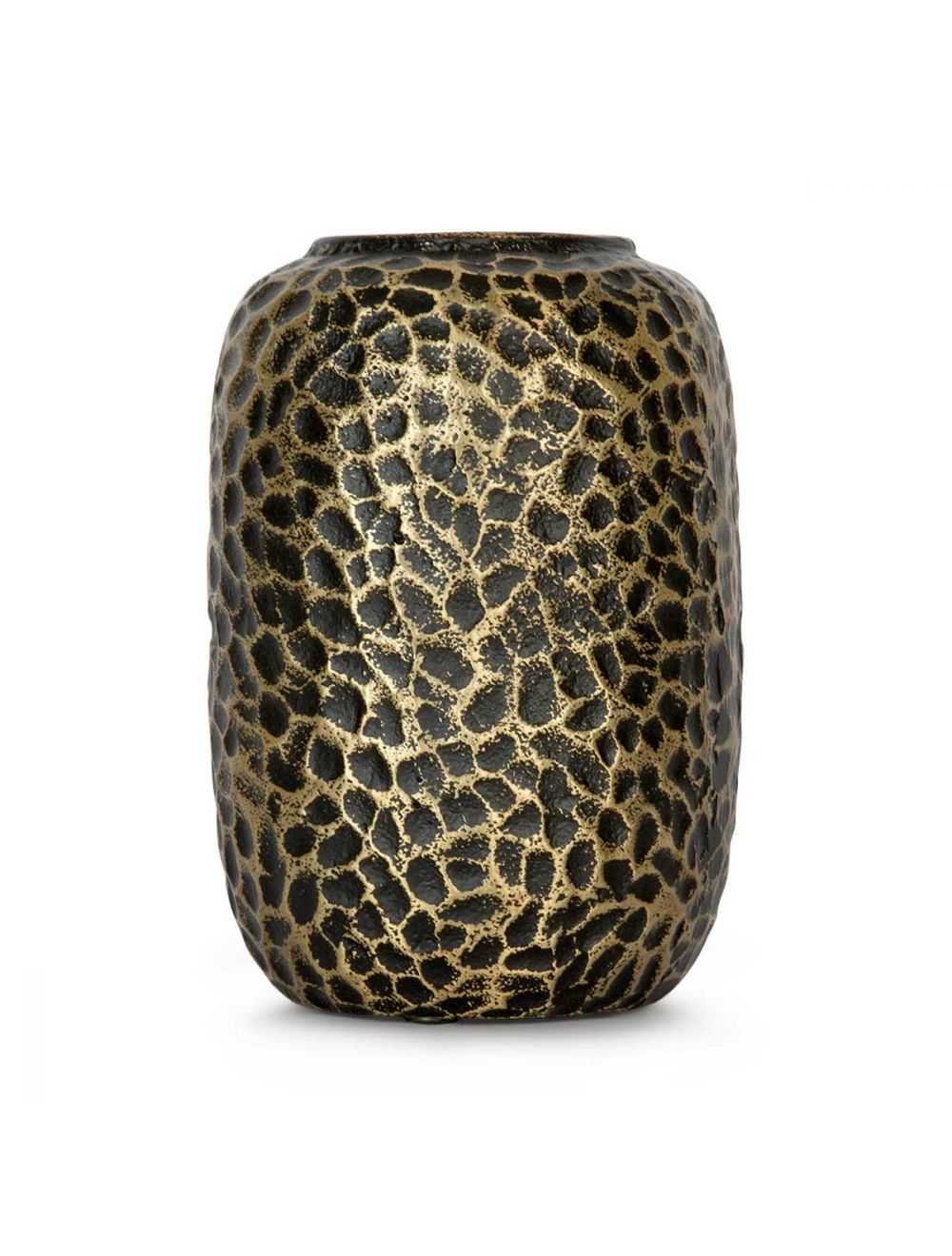 Metalen Hammered Vase I