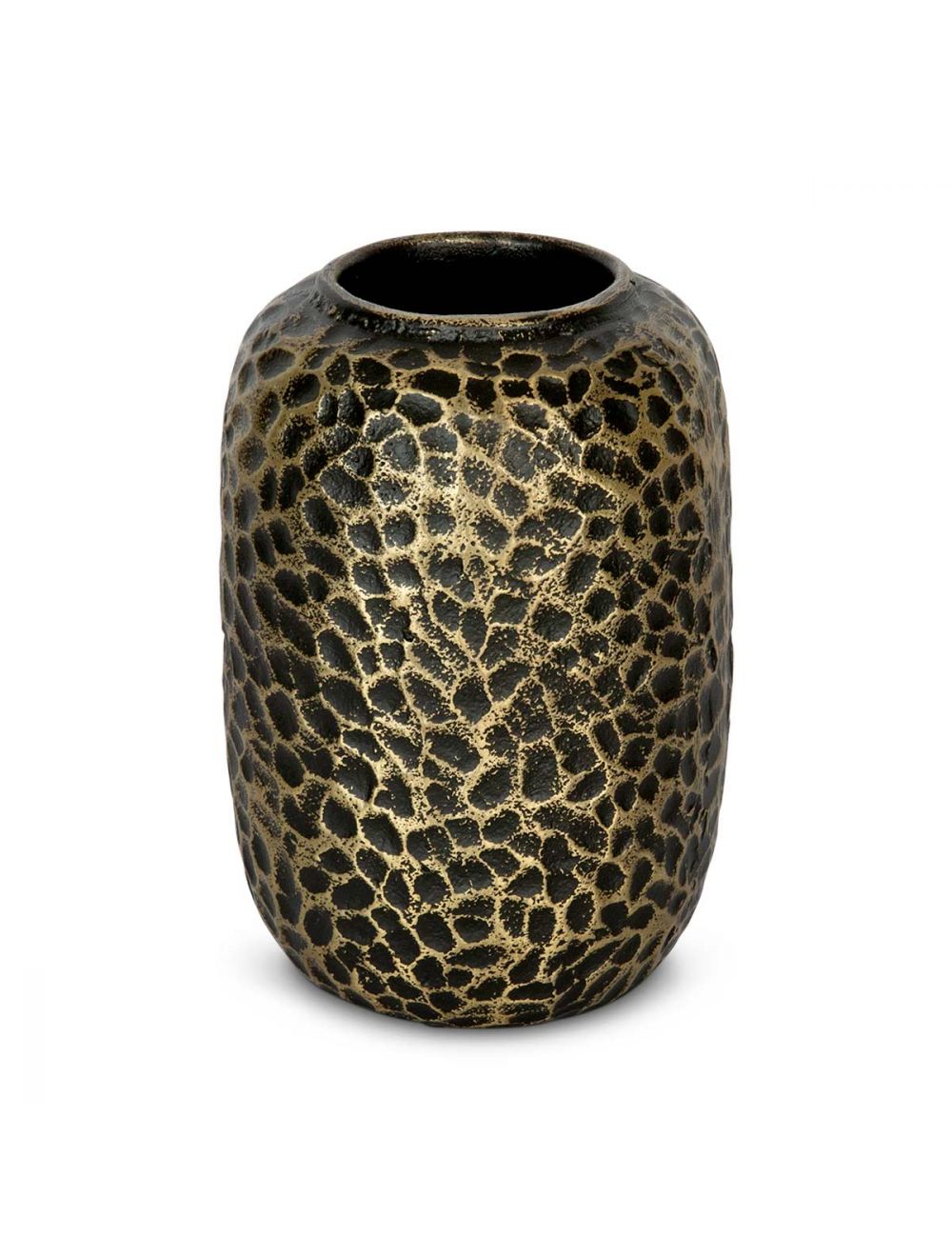 Metalen Hammered Vase I