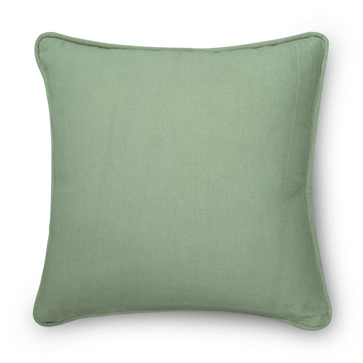Amicus Cushion-IAAH