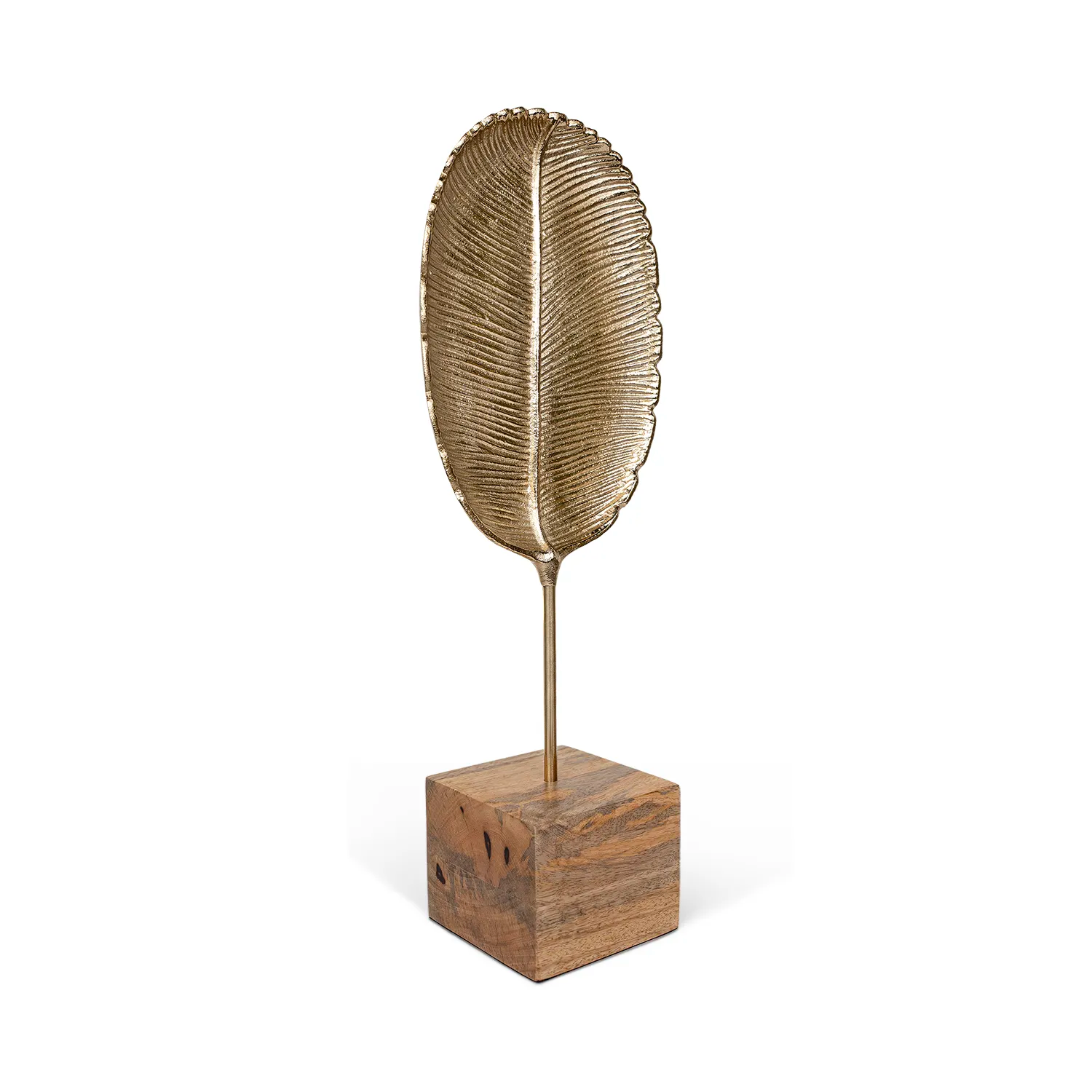 Folia Golden Leaf