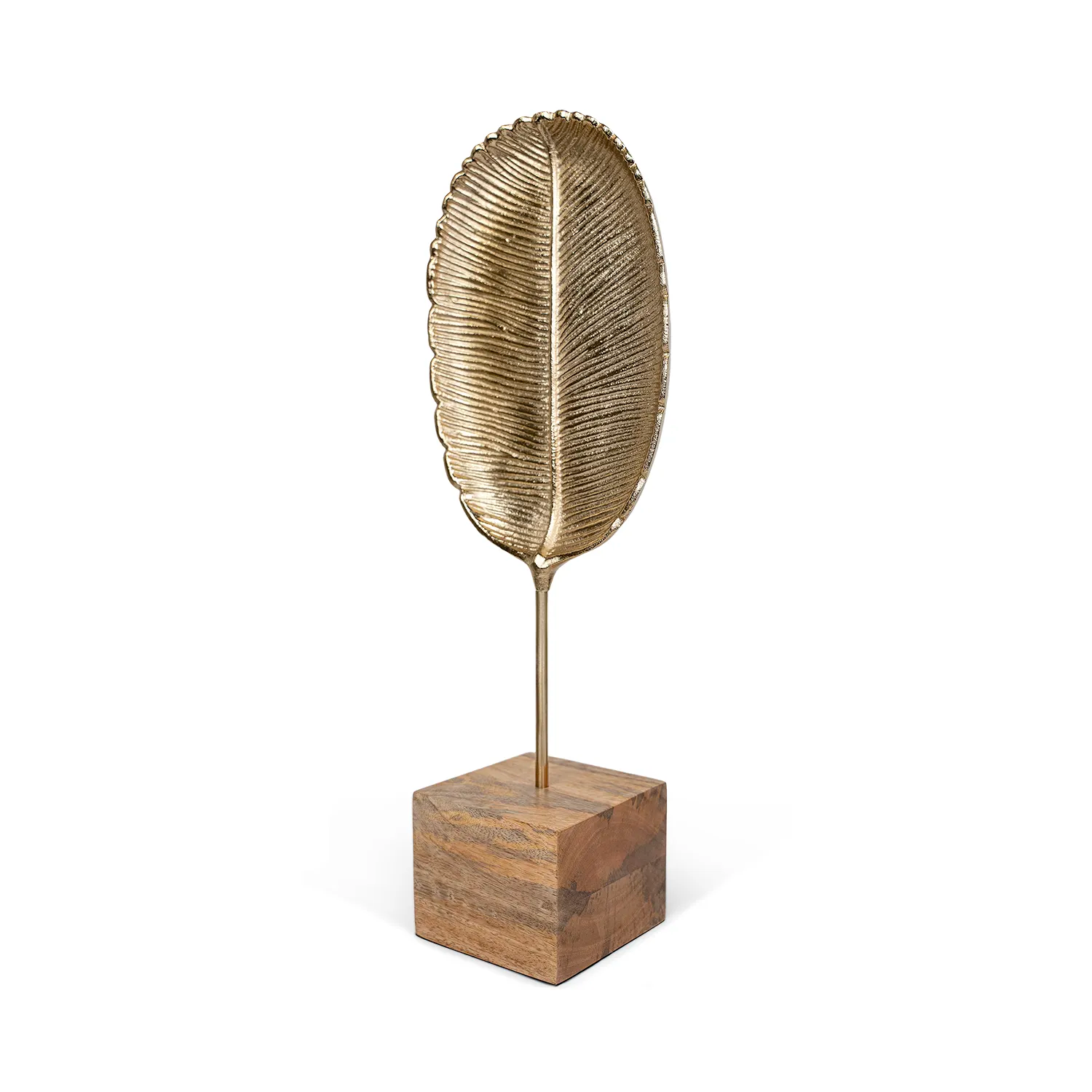 Folia Golden Leaf