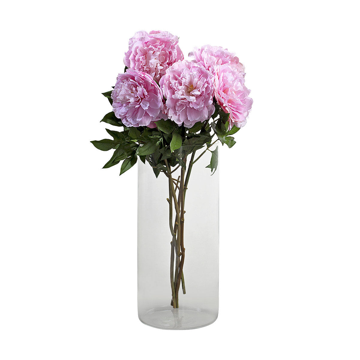 Japanese Peony Pink-IAAH