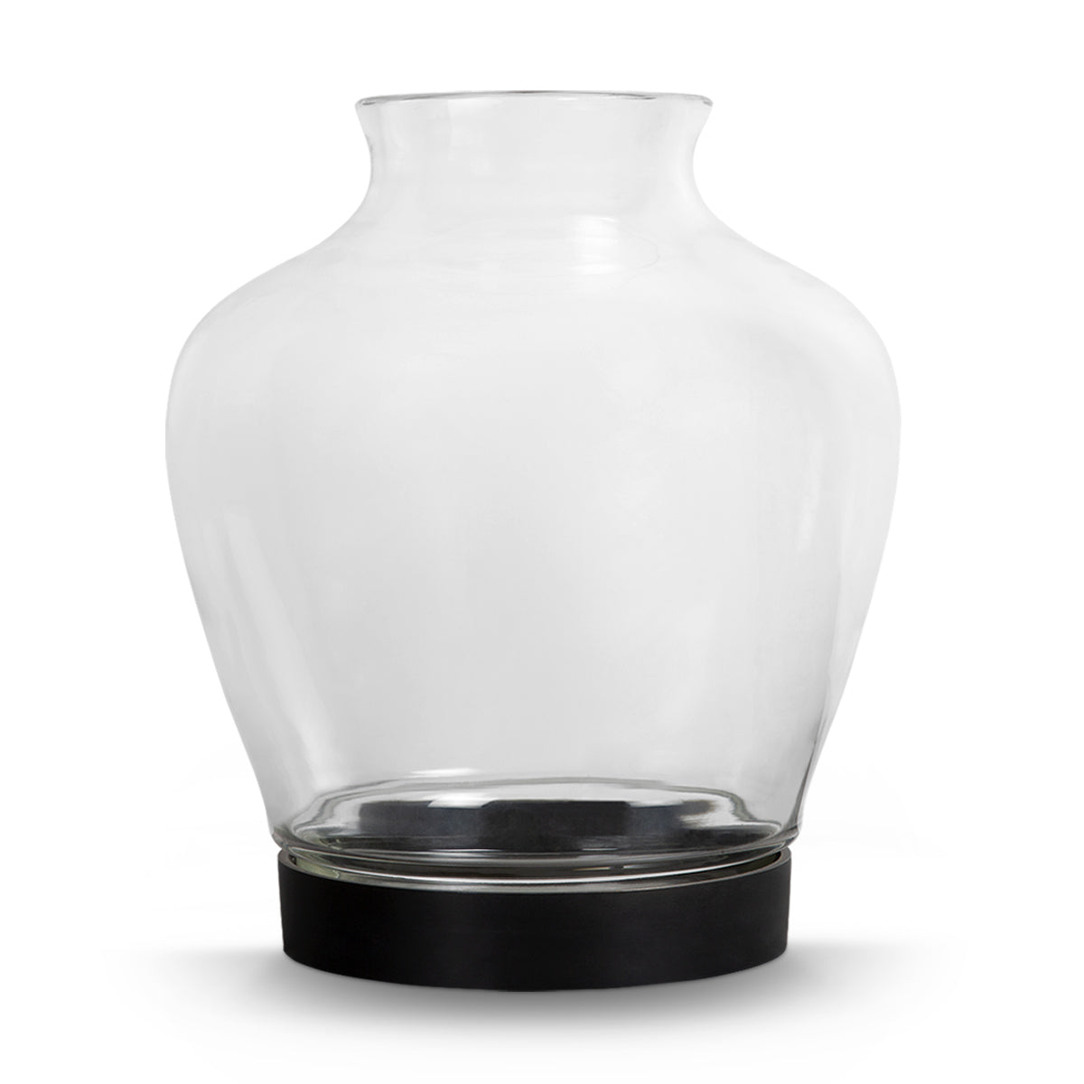 Carol Clear Glass Vase -  Large - IAAH